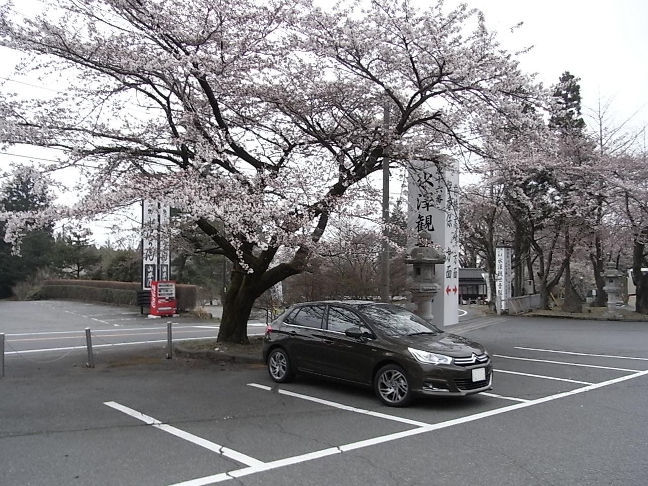 桜は咲いた