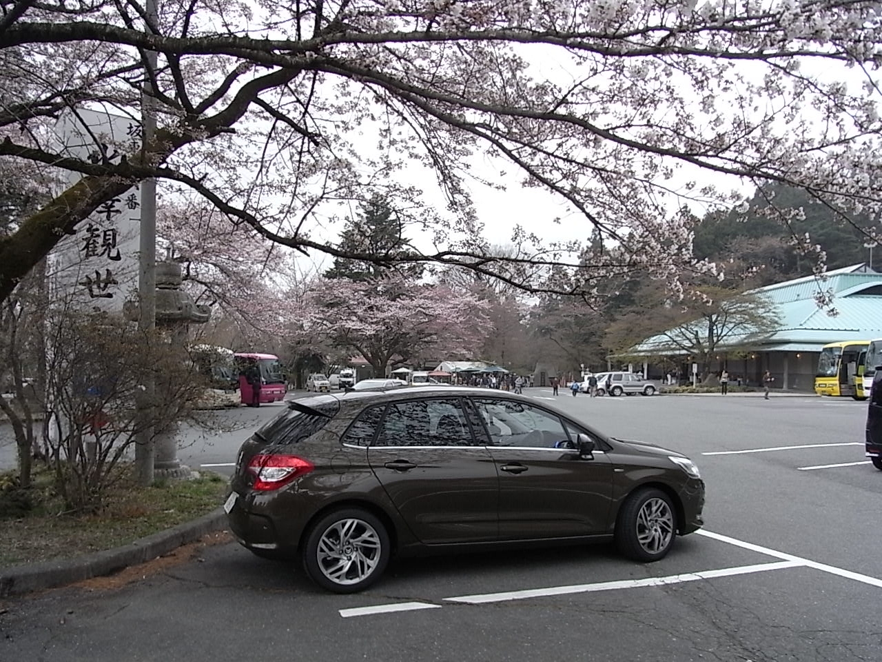 桜は咲いた