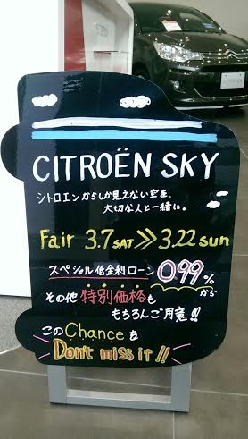 CITROEN　SKY