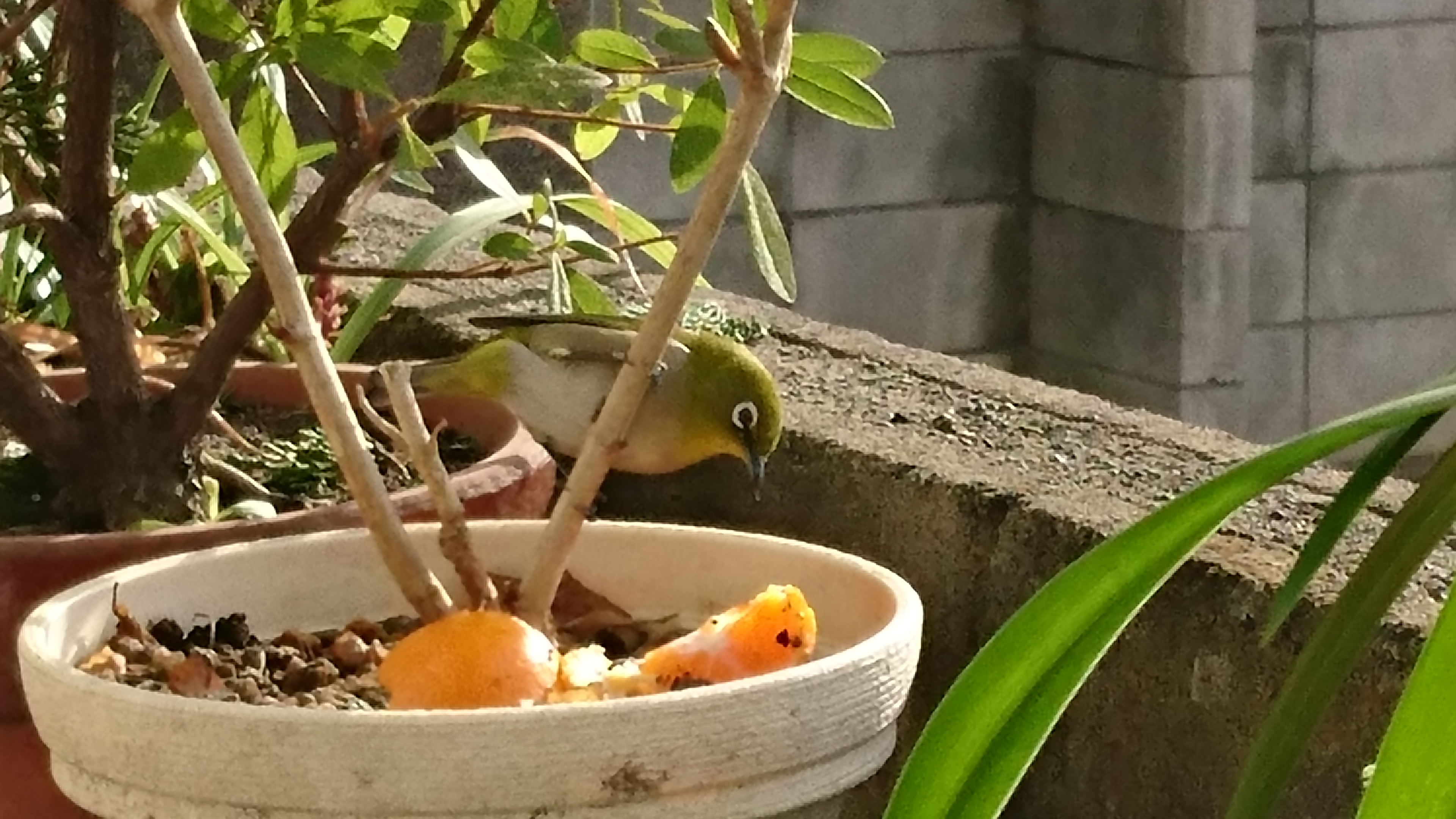 もうすぐ春