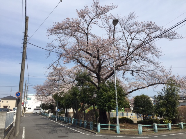 春