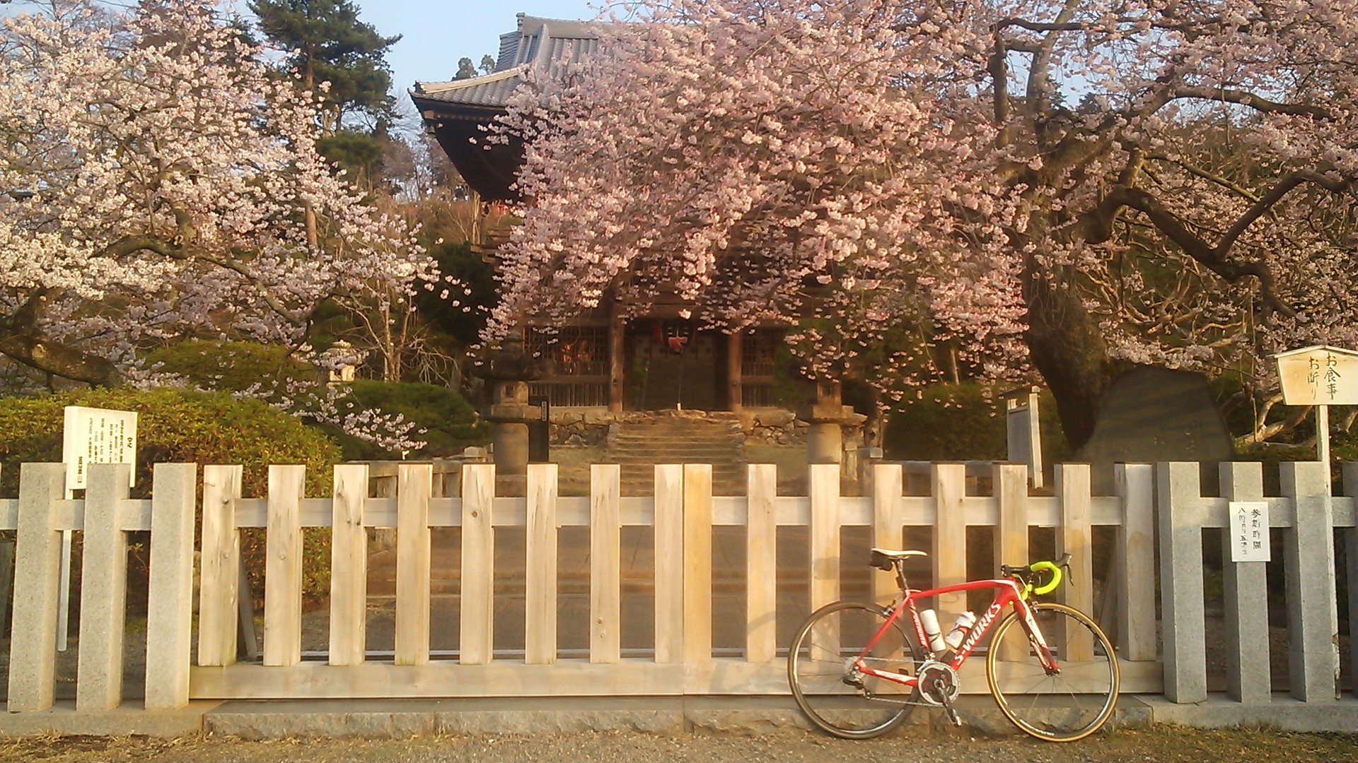 自転車のち飛行機