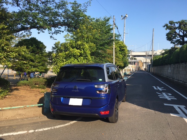 ピカソって味わいたっぷりの　い～くるまです　限定1台特選車！