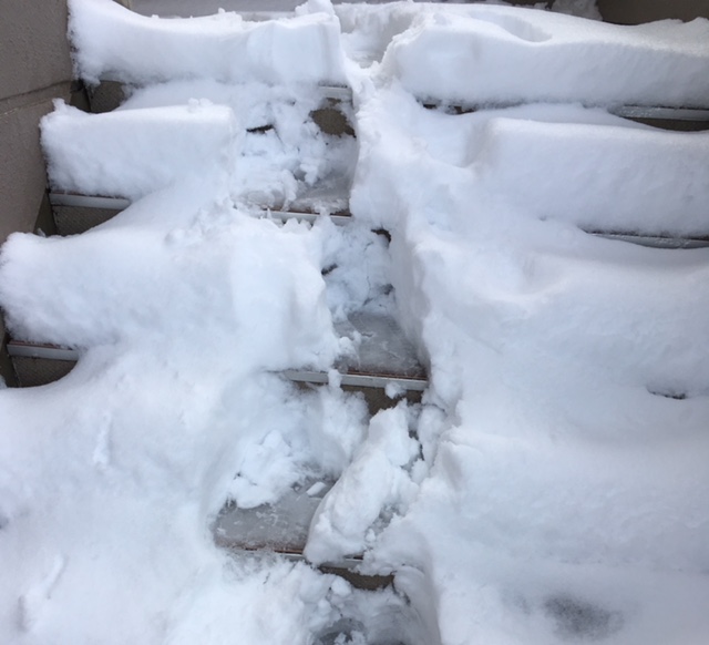⛄