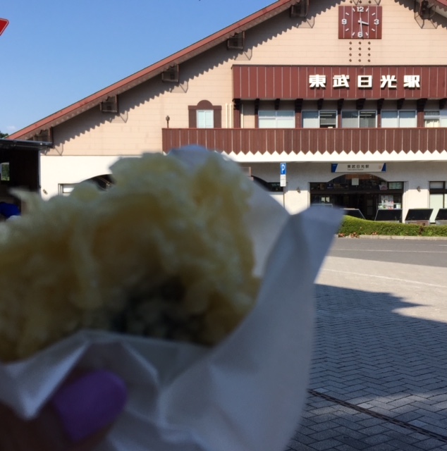 お出かけ情報　