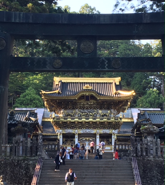 お出かけ情報　