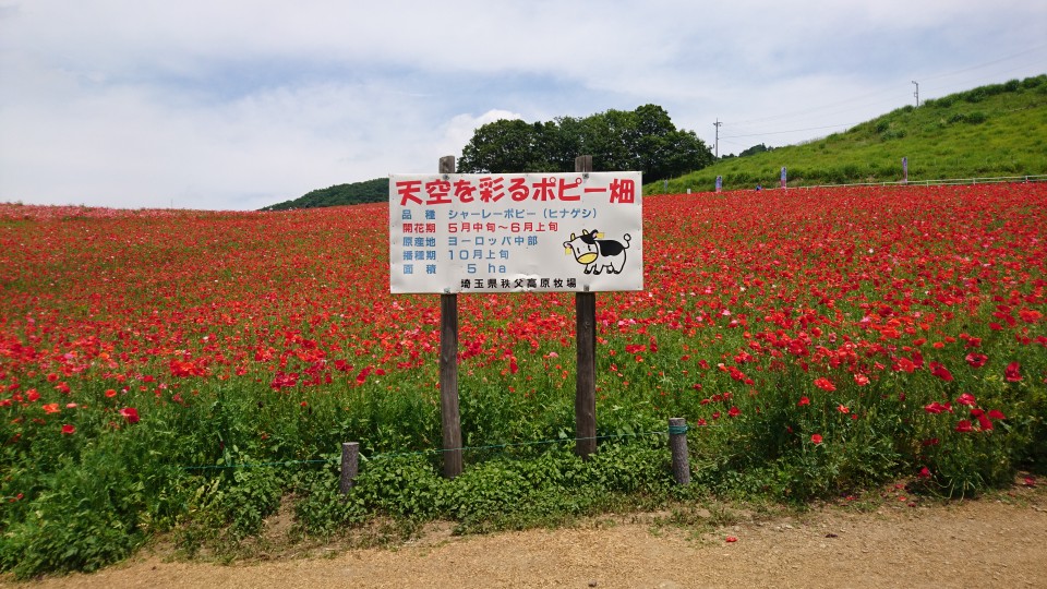 6月のチーム練