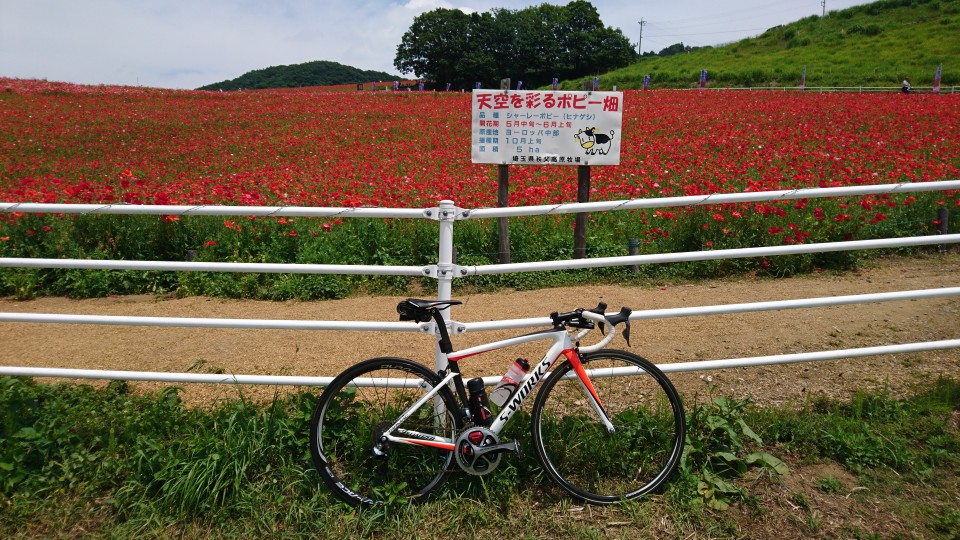 6月のチーム練