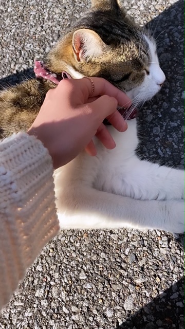 休日ブログ　＃３