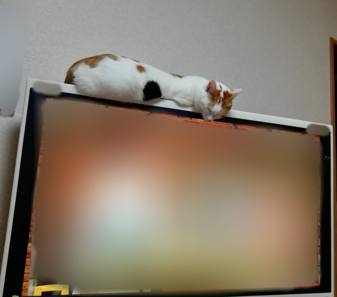 人間化、、。