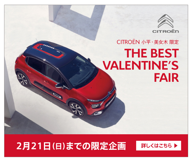 ～THE BEST VALENTINT'S FAIR～